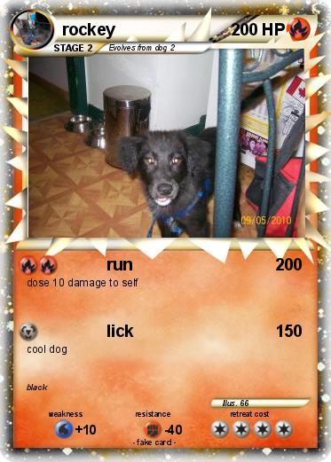 Pokemon rockey