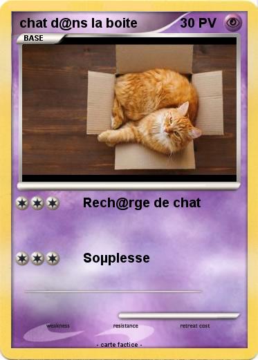 Pokemon chat d@ns la boite