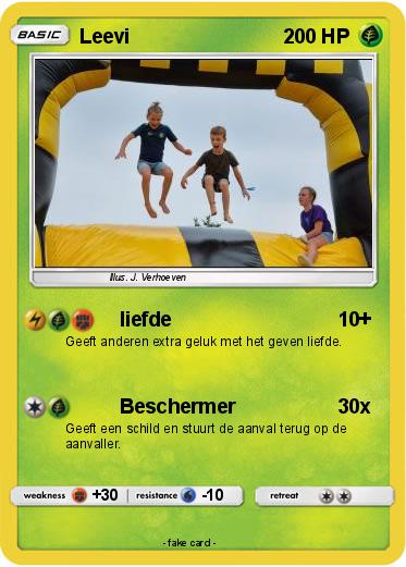 Pokemon Leevi