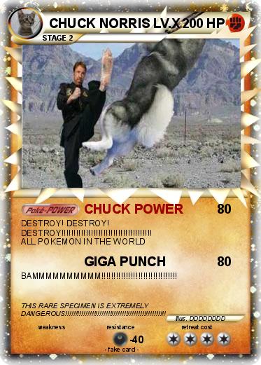Pokemon CHUCK NORRIS LV.X