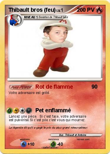 Pokemon Thibault bros (feu)