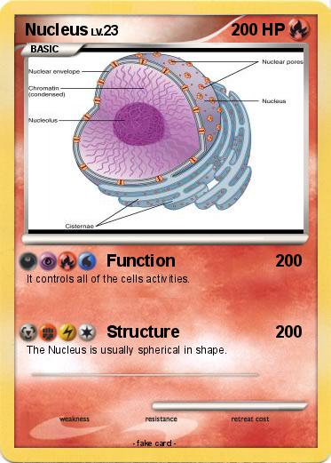 Pokemon Nucleus