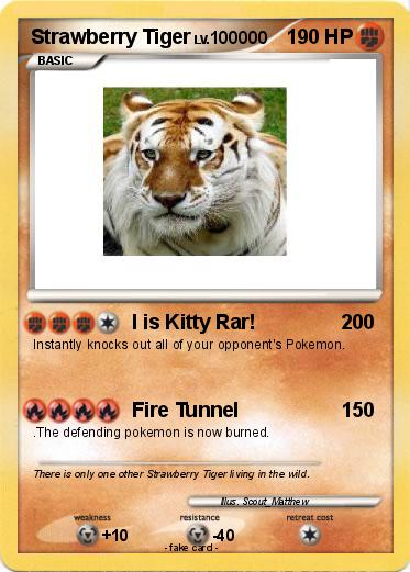 Pokemon Strawberry Tiger