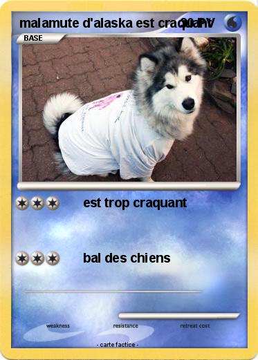 Pokemon malamute d'alaska est craquant
