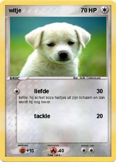 Pokemon witje
