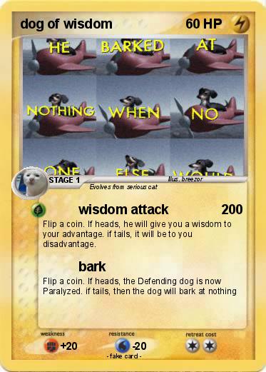 Pokemon dog of wisdom