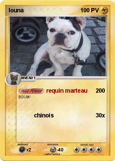 Pokemon louna