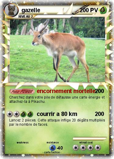 Pokemon gazelle