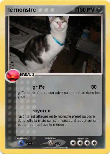 Pokemon le monstre