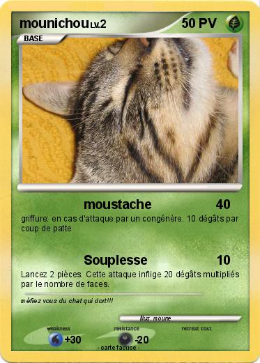 Pokemon mounichou