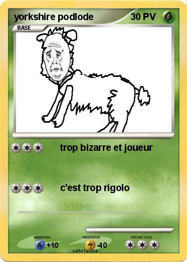 Pokemon yorkshire podlode