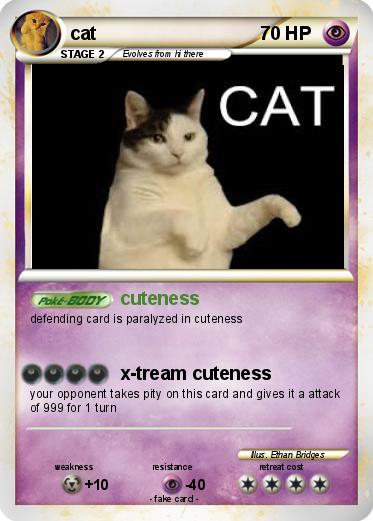 Pokemon cat