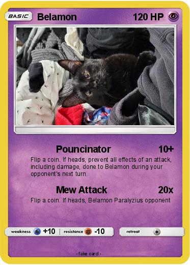 Pokemon Belamon