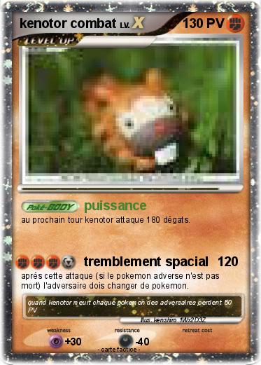 Pokemon kenotor combat