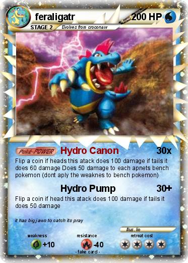 Pokemon feraligatr