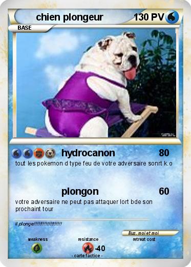 Pokemon chien plongeur