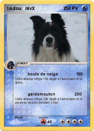 Pokemon toutou   nivX                      2