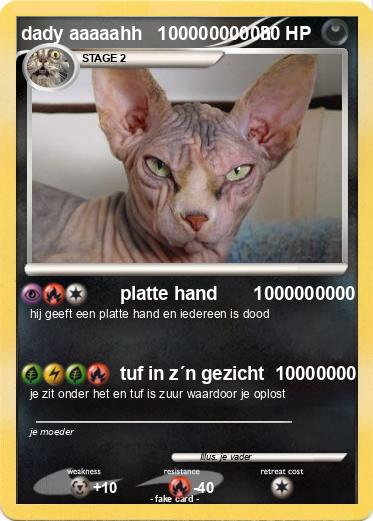 Pokemon dady aaaaahh   1000000000h