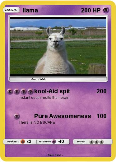 Pokemon llama