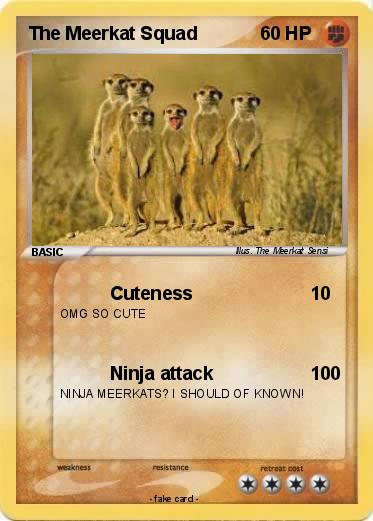 Pokemon The Meerkat Squad