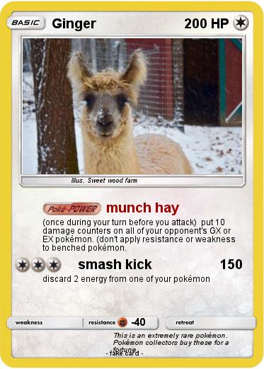 Pokemon Ginger