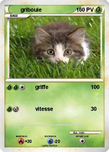 Pokemon gribouie
