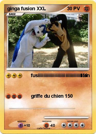 Pokemon ginga fusion XXL