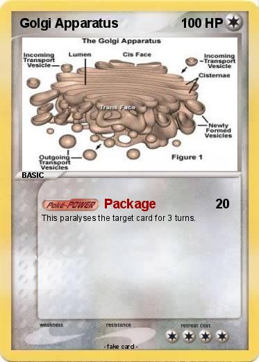 Pokemon Golgi Apparatus