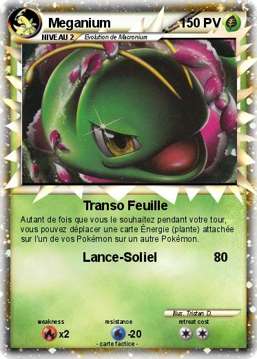 Pokemon Meganium