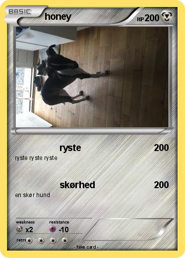 Pokemon honey