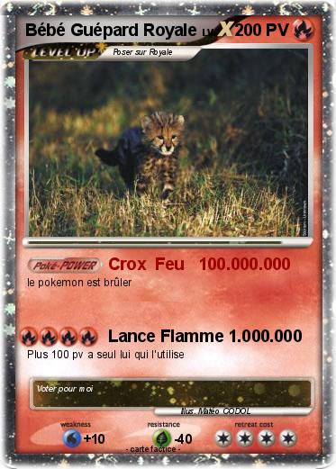 Pokemon Bébé Guépard Royale