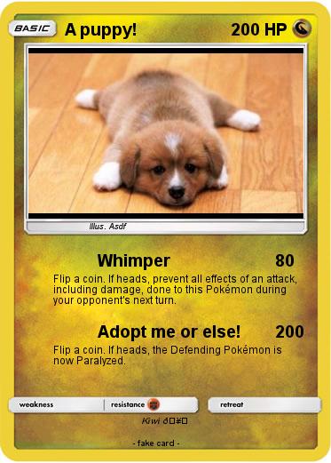 Pokemon A puppy!