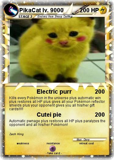Pokemon PikaCat lv. 9000