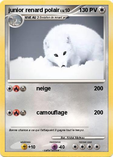 Pokemon junior renard polair