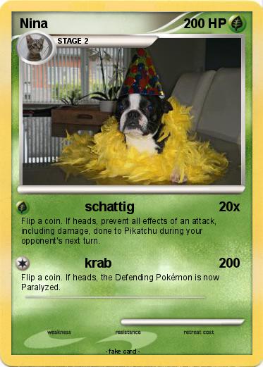 Pokemon Nina