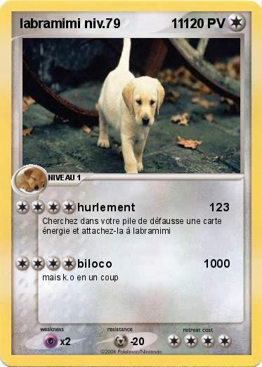 Pokemon labramimi niv.79              11