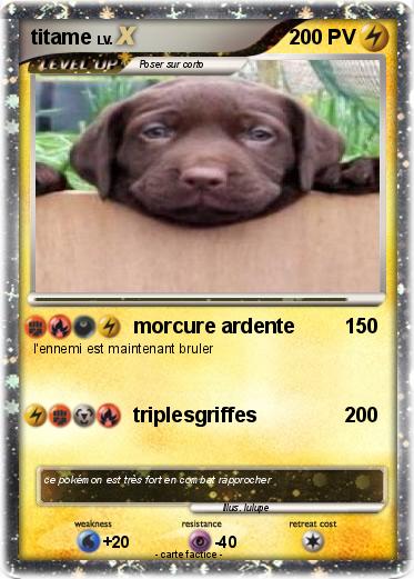 Pokemon titame