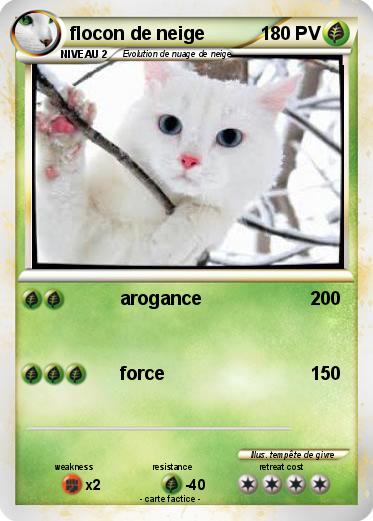 Pokemon flocon de neige
