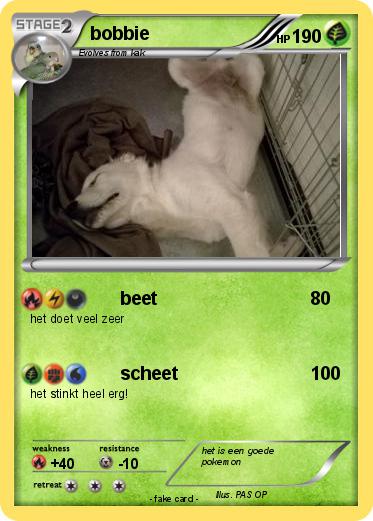 Pokemon bobbie
