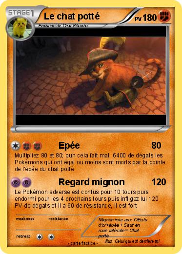 Pokemon Le chat potté