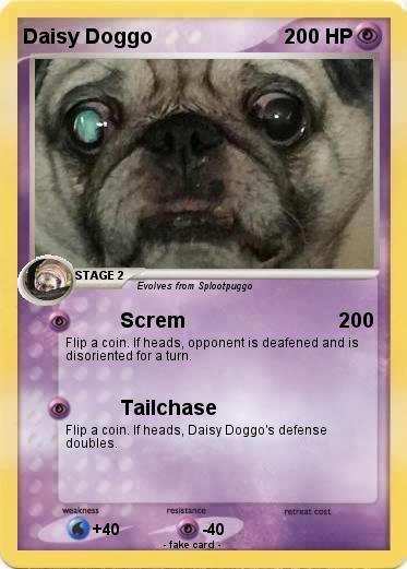 Pokemon Daisy Doggo