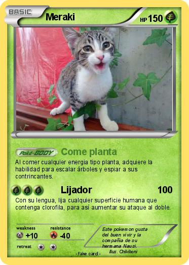 Pokemon Meraki