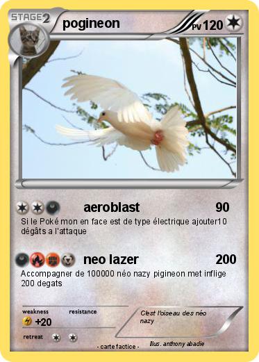 Pokemon pogineon