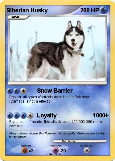 Pokemon Siberian Husky