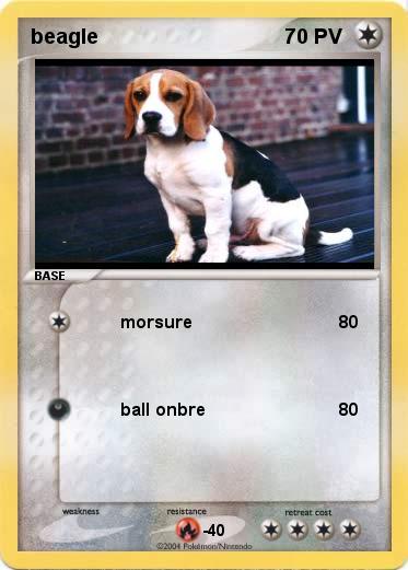 Pokemon beagle