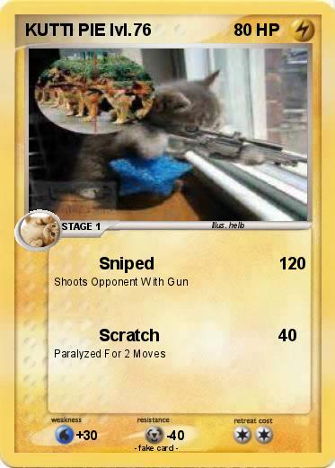 Pokemon KUTTI PIE lvl.76