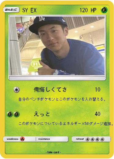 Pokemon SY EX