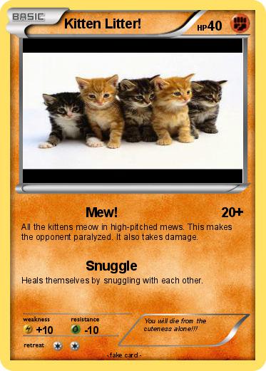 Pokemon Kitten Litter!