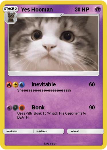 Pokemon Yes Hooman