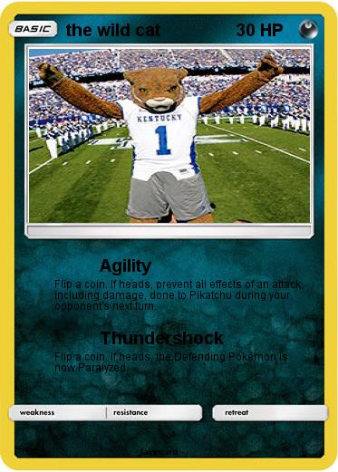 Pokemon the wild cat
